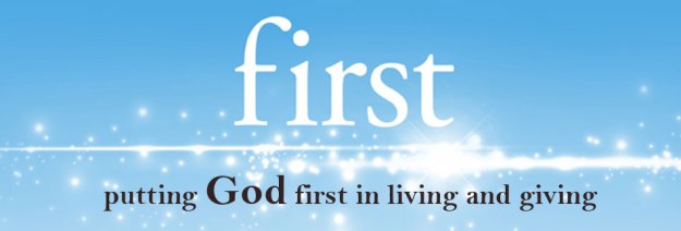 stewardship-2013-banner